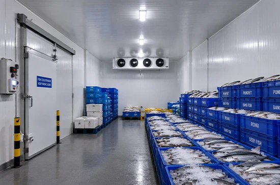 nandikoti_Fish cold Storage Room